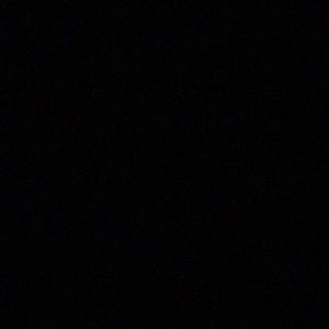 Meet your Posher, Domenic